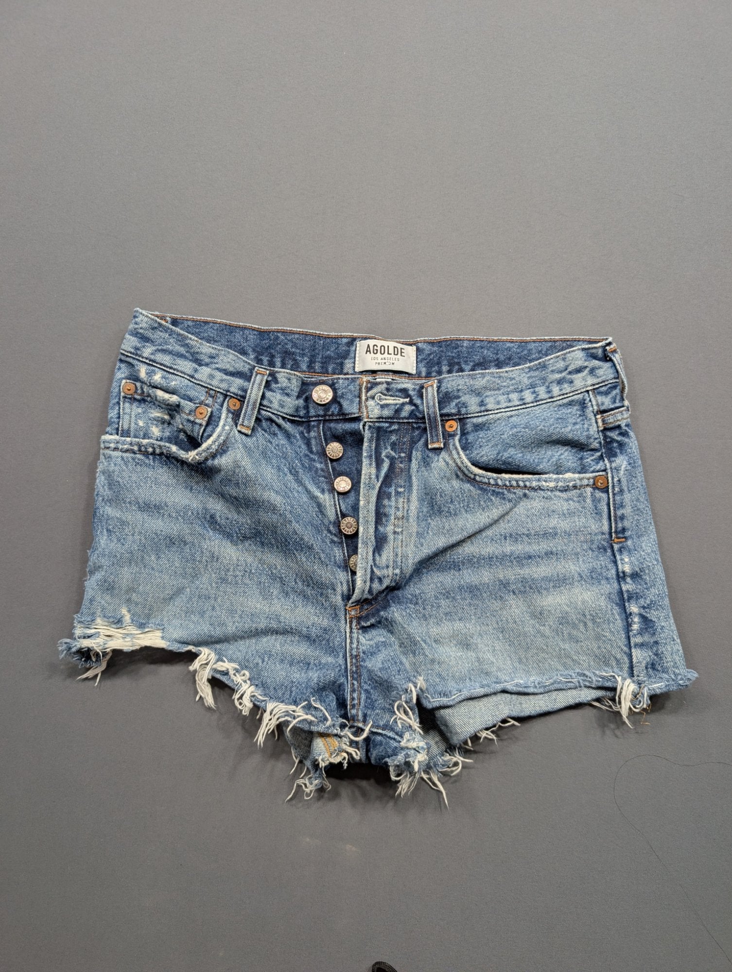 AGOLDE Parker Short Cutoff Denim Shorts Size 27 Blue