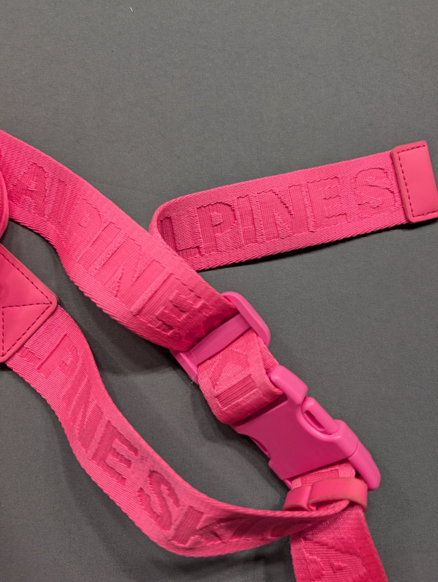 Après Actif Club Alpine Pink Belt Bag Fanny Pack Crossbody